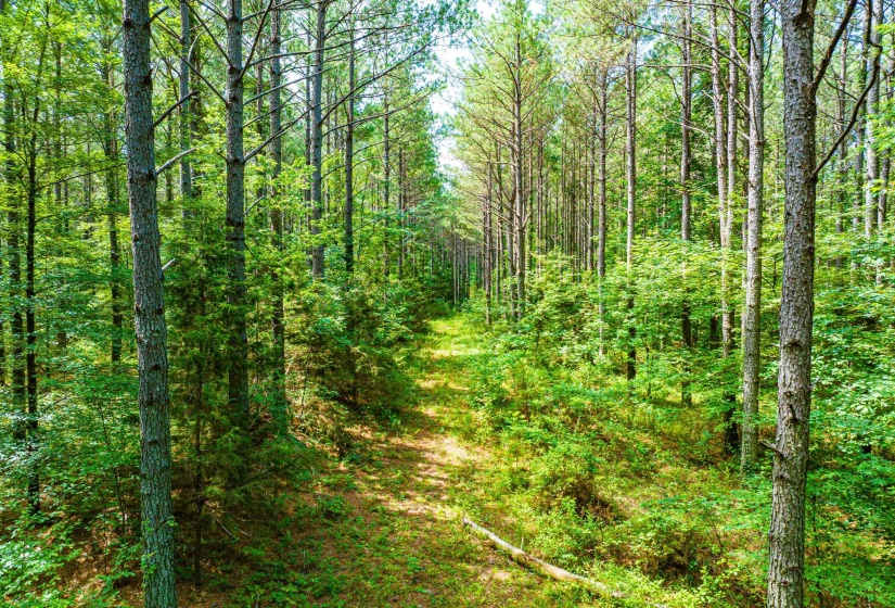0 HWY 192 HWY, Holladay, Tennessee 38341, ,Land,For Sale,HWY 192,10225766