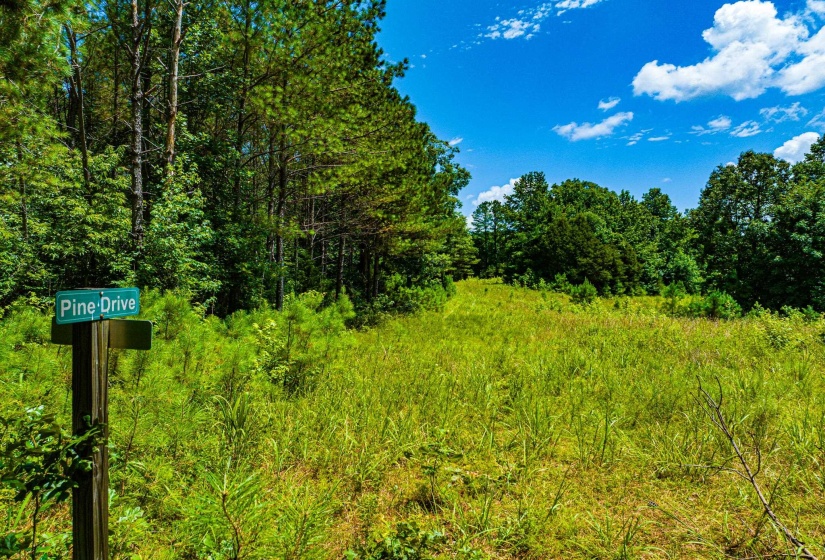 0 HWY 192 HWY, Holladay, Tennessee 38341, ,Land,For Sale,HWY 192,10225766
