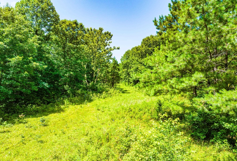 0 HWY 192 HWY, Holladay, Tennessee 38341, ,Land,For Sale,HWY 192,10225766