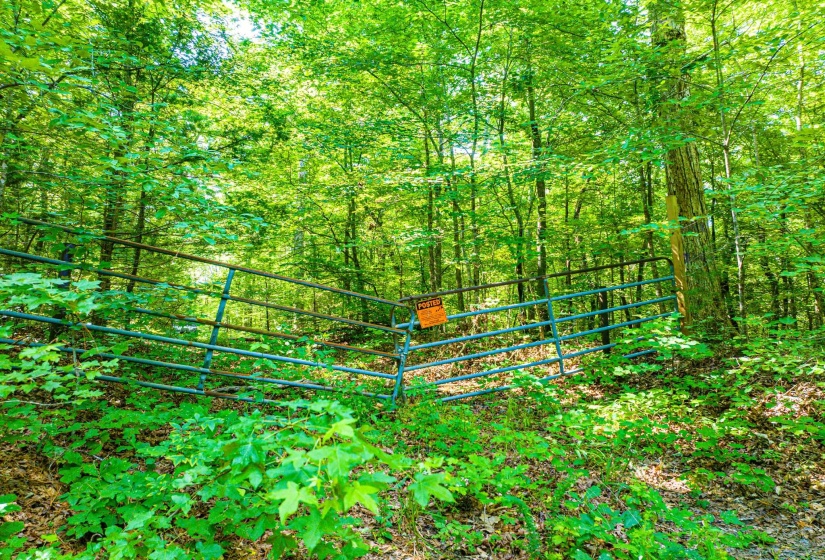 0 HWY 192 HWY, Holladay, Tennessee 38341, ,Land,For Sale,HWY 192,10225766