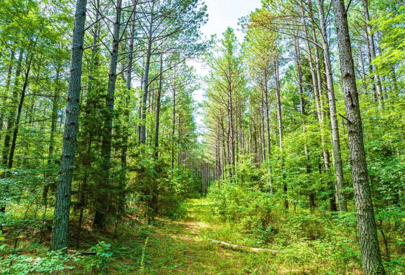 0 HWY 192 HWY, Holladay, Tennessee 38341, ,Land,For Sale,HWY 192,10225766