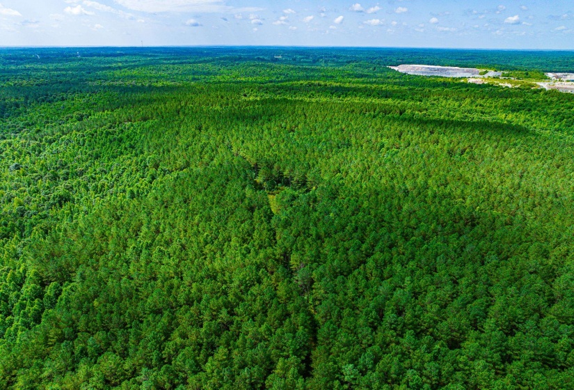0 HWY 192 HWY, Holladay, Tennessee 38341, ,Land,For Sale,HWY 192,10225766