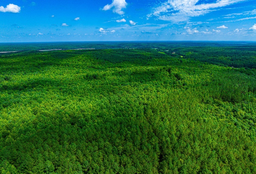 0 HWY 192 HWY, Holladay, Tennessee 38341, ,Land,For Sale,HWY 192,10225766