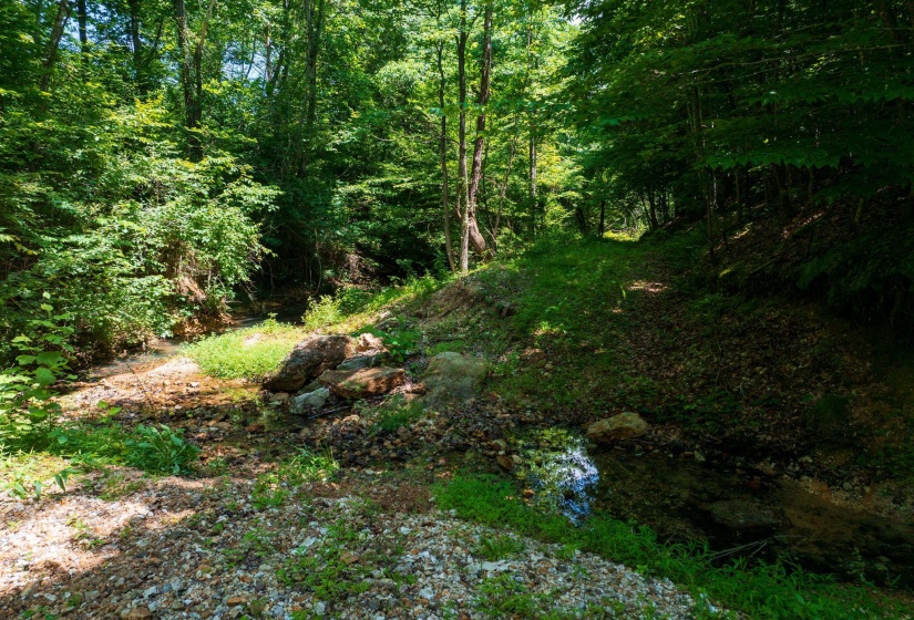 0 HWY 192 HWY, Holladay, Tennessee 38341, ,Land,For Sale,HWY 192,10225766