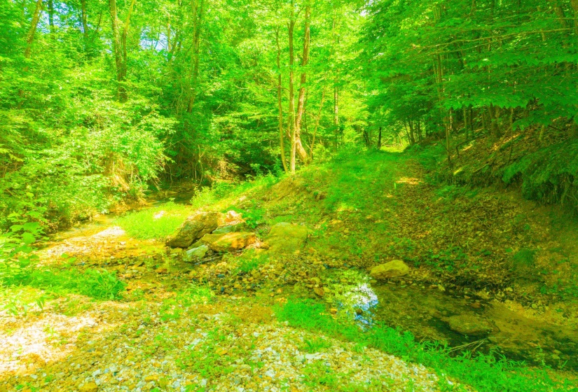 0 HWY 192 HWY, Holladay, Tennessee 38341, ,Land,For Sale,HWY 192,10225766