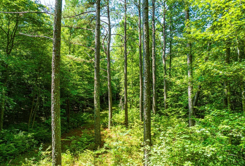 0 HWY 192 HWY, Holladay, Tennessee 38341, ,Land,For Sale,HWY 192,10225766