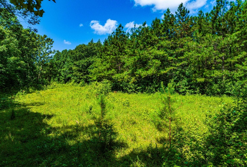0 HWY 192 HWY, Holladay, Tennessee 38341, ,Land,For Sale,HWY 192,10225766