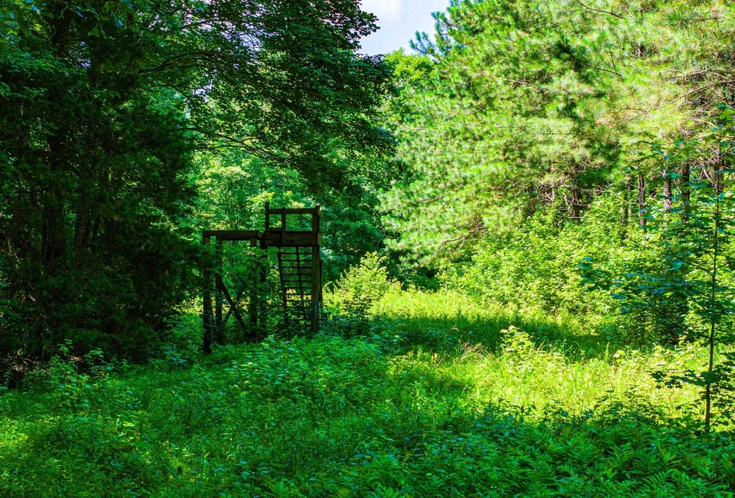 0 HWY 192 HWY, Holladay, Tennessee 38341, ,Land,For Sale,HWY 192,10225766