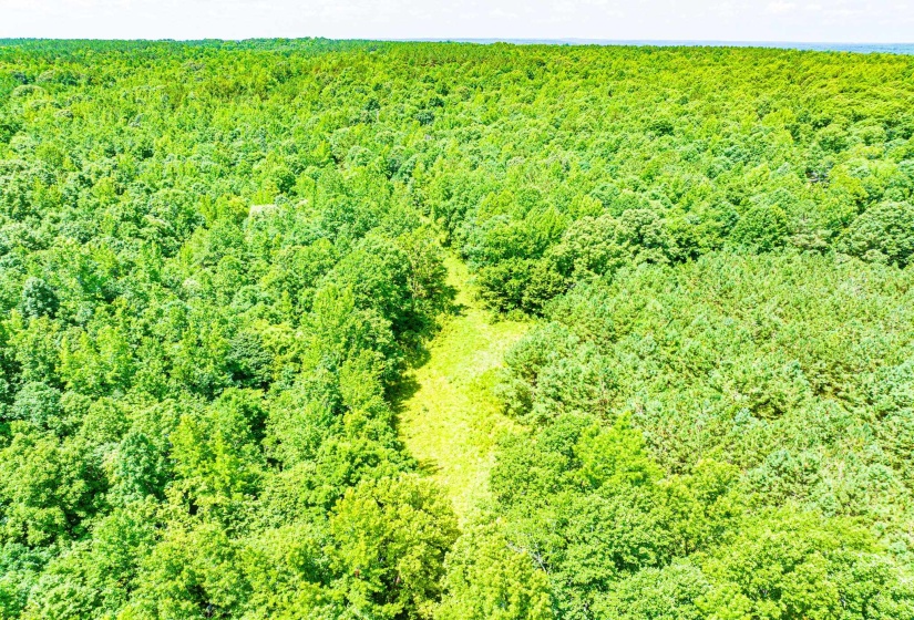 0 HWY 192 HWY, Holladay, Tennessee 38341, ,Land,For Sale,HWY 192,10225766