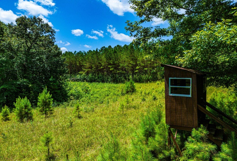 0 HWY 192 HWY, Holladay, Tennessee 38341, ,Land,For Sale,HWY 192,10225766