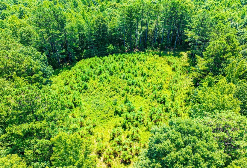 0 HWY 192 HWY, Holladay, Tennessee 38341, ,Land,For Sale,HWY 192,10225766
