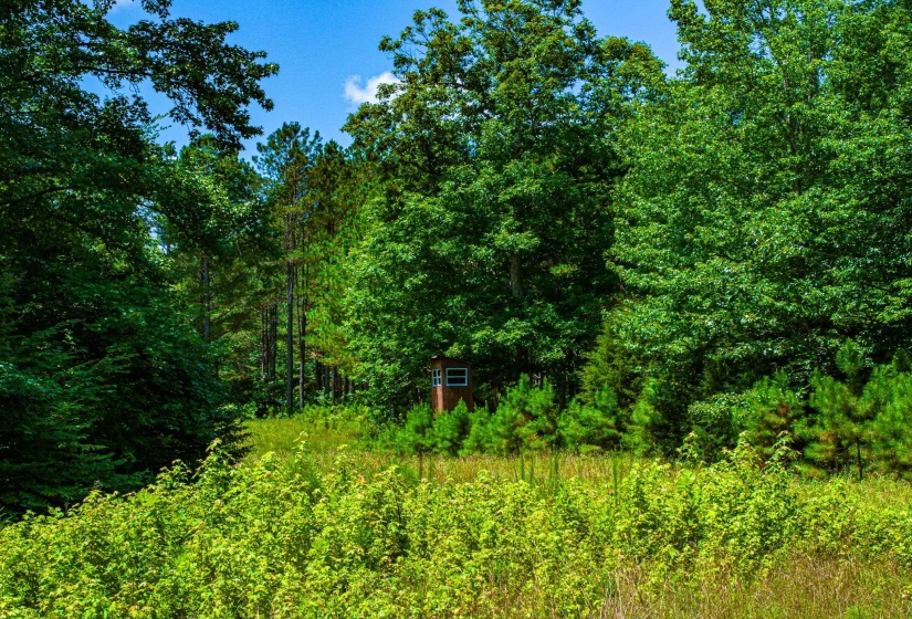 0 HWY 192 HWY, Holladay, Tennessee 38341, ,Land,For Sale,HWY 192,10225766
