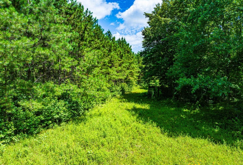 0 HWY 192 HWY, Holladay, Tennessee 38341, ,Land,For Sale,HWY 192,10225766