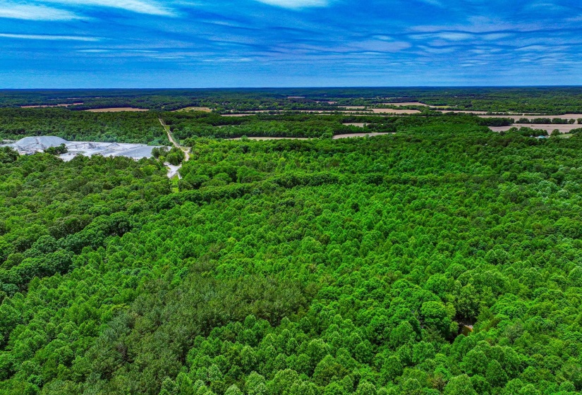 0 HWY 192 HWY, Holladay, Tennessee 38341, ,Land,For Sale,HWY 192,10225766