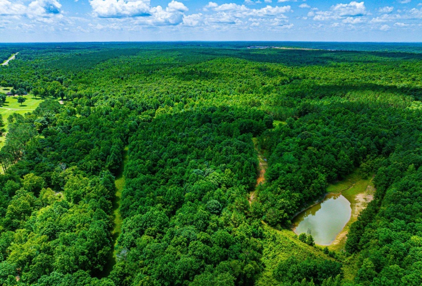 0 HWY 192 HWY, Holladay, Tennessee 38341, ,Land,For Sale,HWY 192,10225766