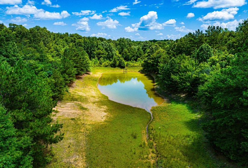 0 HWY 192 HWY, Holladay, Tennessee 38341, ,Land,For Sale,HWY 192,10225766