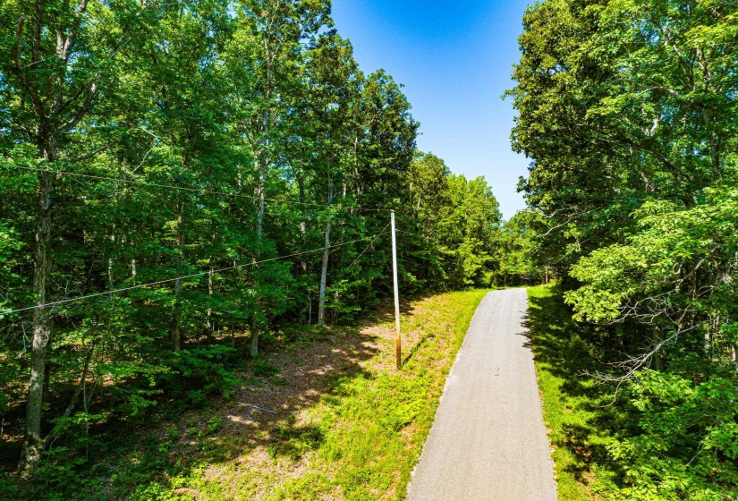 0 HWY 192 HWY, Holladay, Tennessee 38341, ,Land,For Sale,HWY 192,10225766