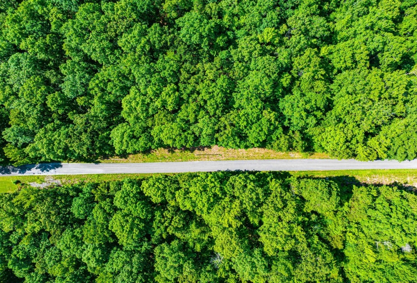 0 HWY 192 HWY, Holladay, Tennessee 38341, ,Land,For Sale,HWY 192,10225766