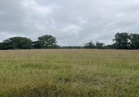 899 EL SMITH RD, Monroe, Tennessee 38573, ,Land,For Sale,EL SMITH,10225771