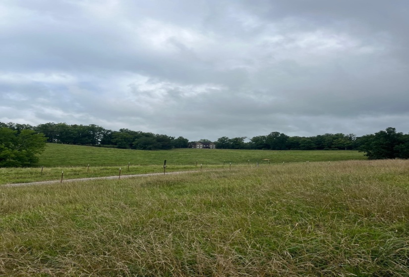 899 EL SMITH RD, Monroe, Tennessee 38573, ,Land,For Sale,EL SMITH,10225771