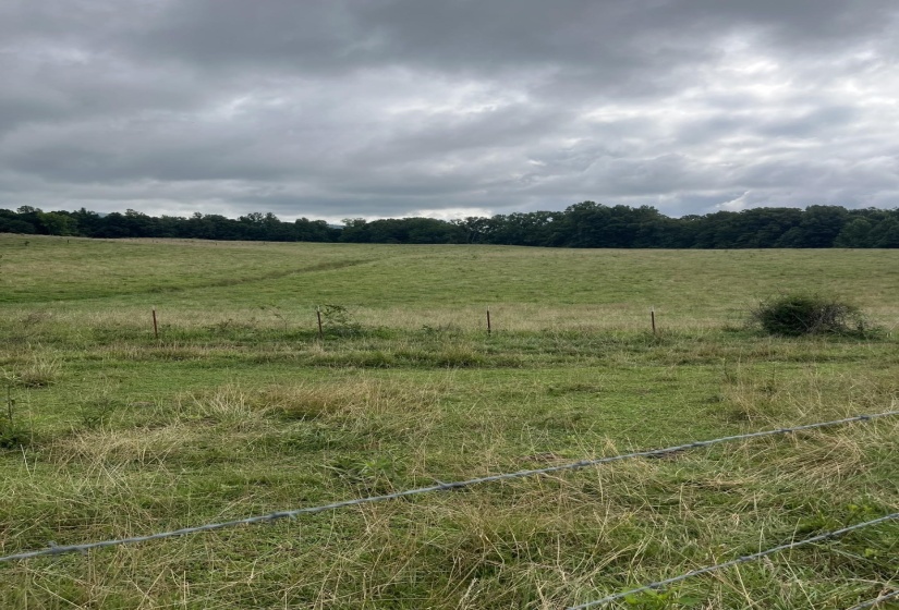 899 EL SMITH RD, Monroe, Tennessee 38573, ,Land,For Sale,EL SMITH,10225771