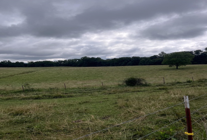 899 EL SMITH RD, Monroe, Tennessee 38573, ,Land,For Sale,EL SMITH,10225771