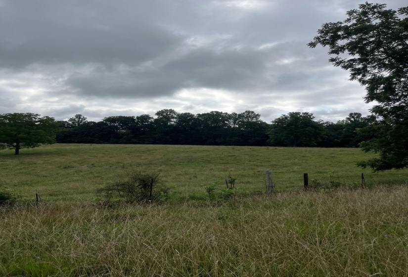 899 EL SMITH RD, Monroe, Tennessee 38573, ,Land,For Sale,EL SMITH,10225771