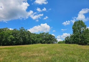 OLD FERRY RD, Bath Springs, Tennessee 38311, 0 , 0 ,0,Land,For Sale,OLD FERRY,0,10225773