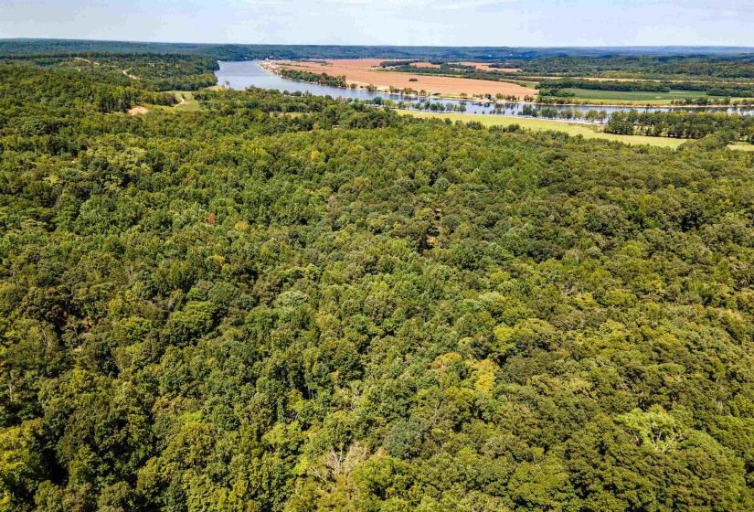 OLD FERRY RD, Bath Springs, Tennessee 38311, 0 , 0 ,0,Land,For Sale,OLD FERRY,0,10225773