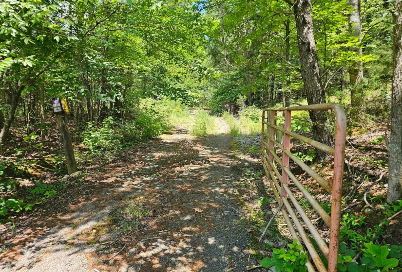 OLD FERRY RD, Bath Springs, Tennessee 38311, 0 , 0 ,0,Land,For Sale,OLD FERRY,0,10225773