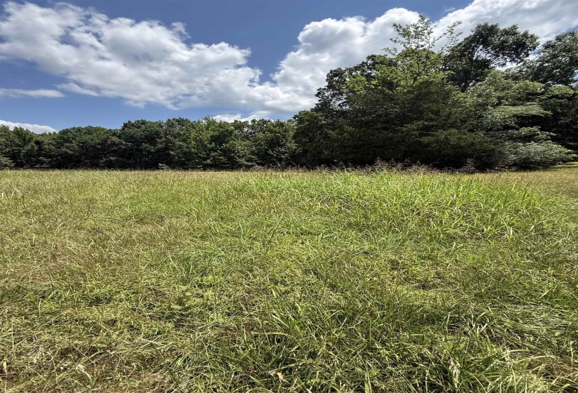OLD FERRY RD, Bath Springs, Tennessee 38311, 0 , 0 ,0,Land,For Sale,OLD FERRY,0,10225773