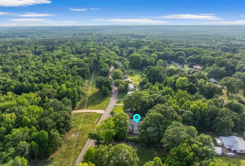 Expansive tree canopy surrounding the property, featuring a paved road and a single-story residence