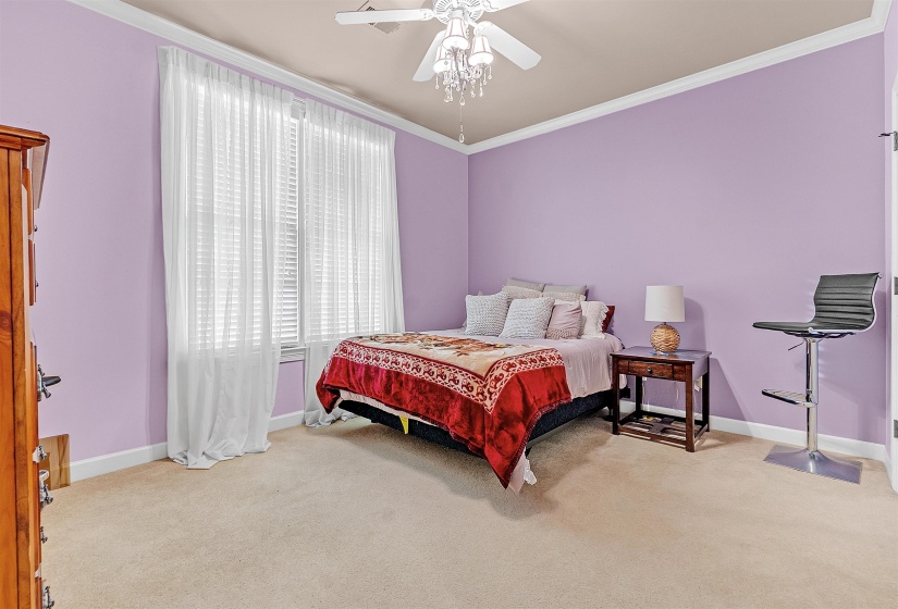 Carpeted room featuring a large window with blinds and sheer curtains, complemented by crown molding and a ceiling fan with integrated lighting