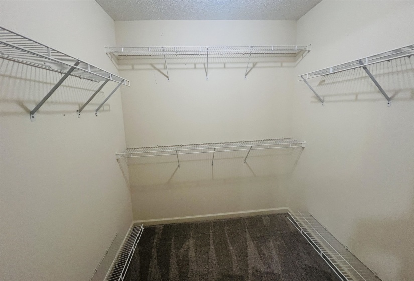Walk-in closet with carpet flooring, light neutral wall paint, and multiple levels of wire shelving
