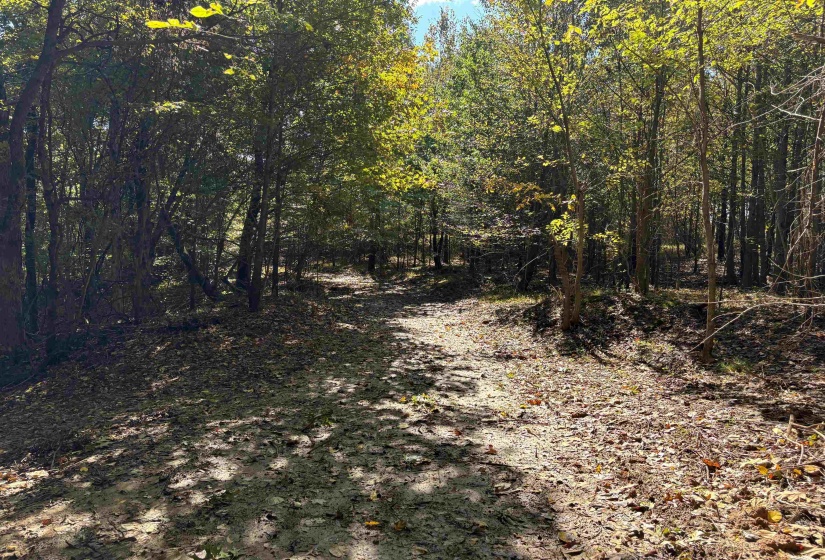 0 MUDVILLE RD, Millington, Tennessee 38053, 0 , 0 ,0,Land,For Sale,MUDVILLE,0,10225794
