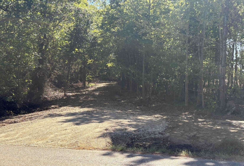 0 MUDVILLE RD, Millington, Tennessee 38053, 0 , 0 ,0,Land,For Sale,MUDVILLE,0,10225794