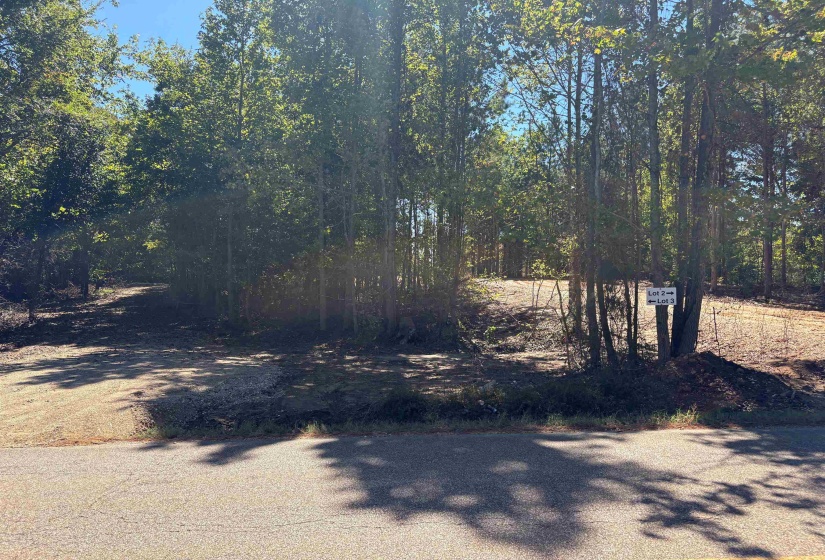 0 MUDVILLE RD, Millington, Tennessee 38053, 0 , 0 ,0,Land,For Sale,MUDVILLE,0,10225794