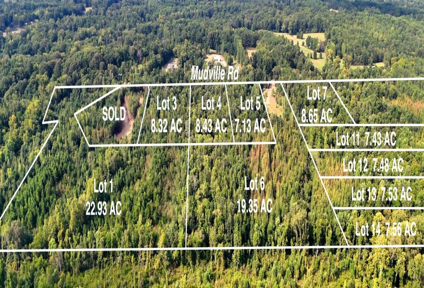 0 MUDVILLE RD, Millington, Tennessee 38053, 0 , 0 ,0,Land,For Sale,MUDVILLE,0,10225794