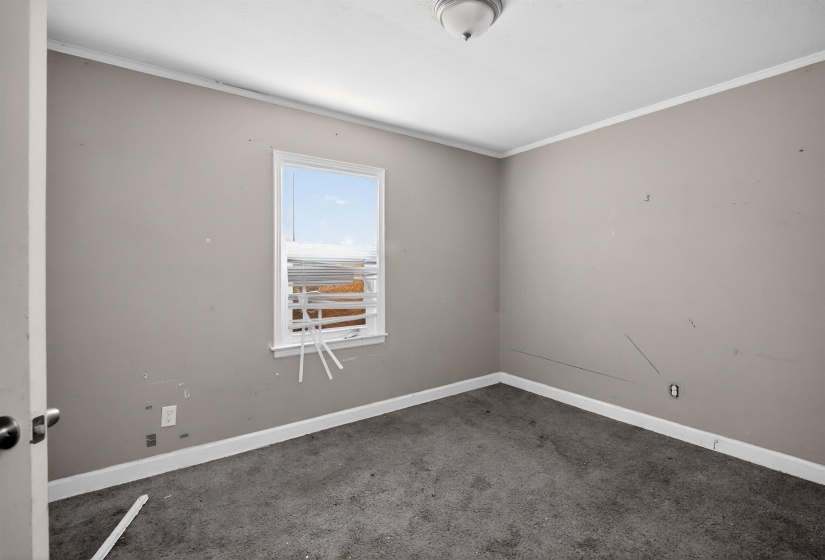 Room featuring a single window, neutral wall paint, white trim, and carpet flooring