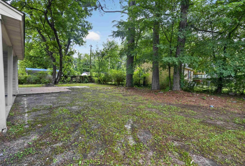 Expansive yard area featuring a concrete patio, mature trees, and a partial view of the property's siding