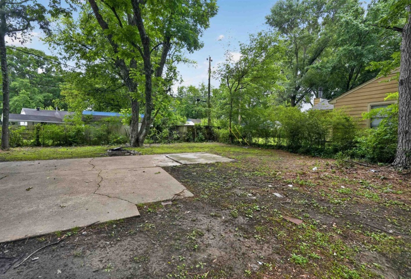 Expansive outdoor space featuring mature trees and a concrete patio area