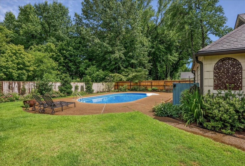 Expansive backyard featuring a blue-tiled swimming pool with a surrounding concrete patio, mature trees, and a wooden privacy fence