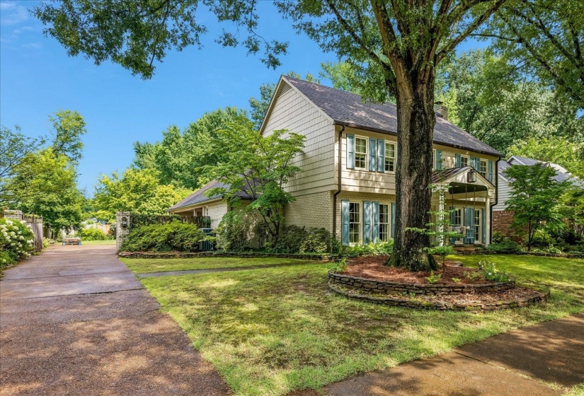 Traditional-style residence featuring a prominent mature tree, light-colored siding, contrasting blue window shutters, and a covered front entry