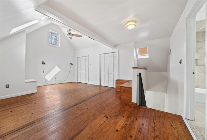 Skylights ~ Lots of Light ~ Walkin Closet
