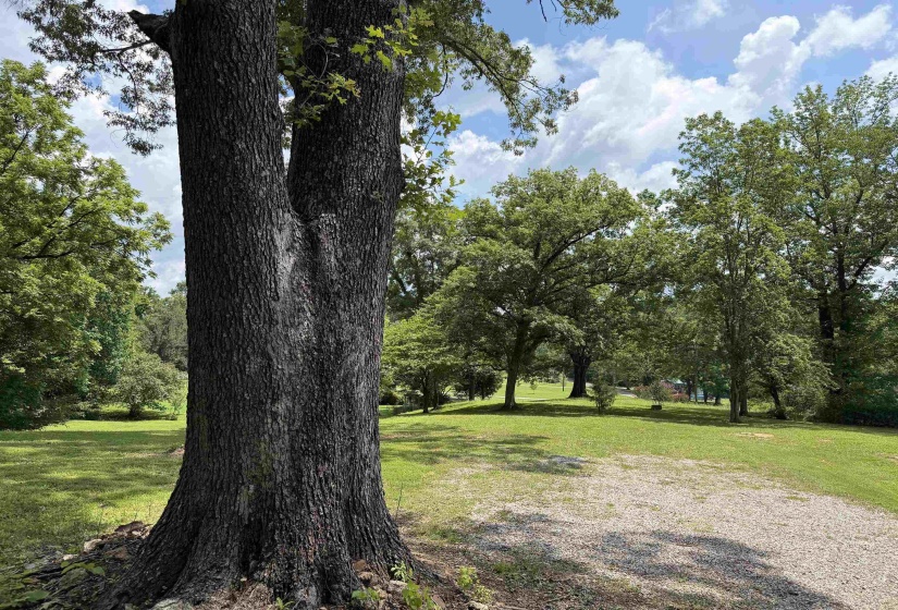185 POPLAR SPRINGS RD, Savannah, Tennessee 38372, 2 Bedroom Bedrooms, 8 Room Rooms,1 BathroomBathrooms,Residential,For Sale,POPLAR SPRINGS,0,10225827