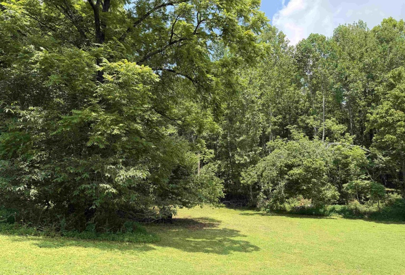185 POPLAR SPRINGS RD, Savannah, Tennessee 38372, 2 Bedroom Bedrooms, 8 Room Rooms,1 BathroomBathrooms,Residential,For Sale,POPLAR SPRINGS,0,10225827