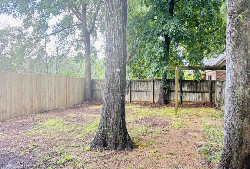 Private backyard with a combination of wood panel fencing and mature trees