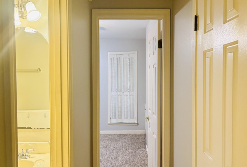 Hallway with textured carpeting, paneled interior doors, and light gray wall paint