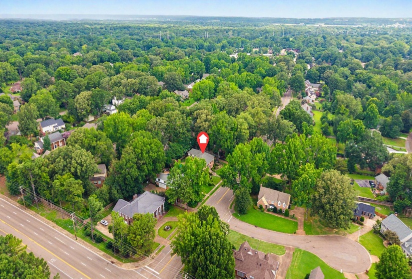1929 MILLER FARMS RD, Germantown, Tennessee 38138, 5 Bedroom Bedrooms, 11 Room Rooms,3.2 BathroomBathrooms,Residential,For Sale,MILLER FARMS,0,10225867