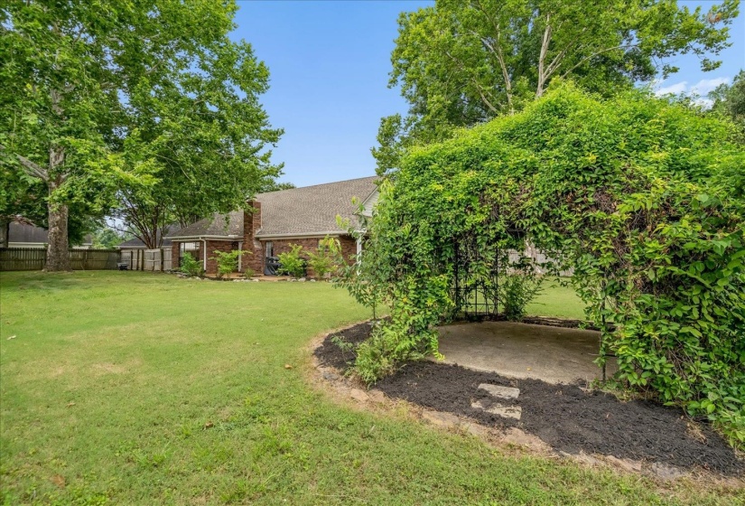 Expansive backyard featuring a lush green lawn, mature trees, and a decorative vine-covered arbor with a concrete pad